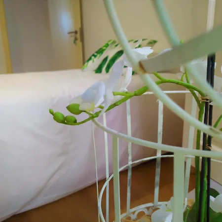 Casa Do Castelo Inn *